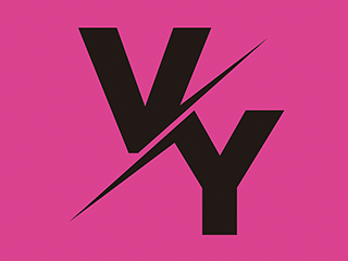 VIBE Yorkshire logo